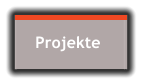 Projekte